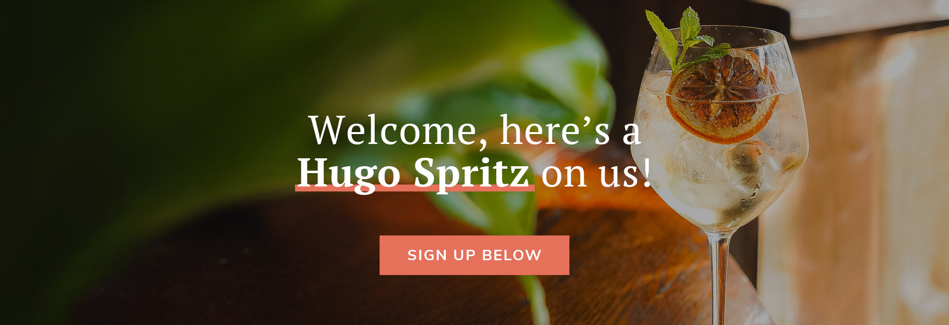 Sign up to the newsletter at The Bull